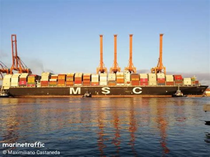 The Expertise of MSC Lauren: A Comprehensive Guide to Its Operations
