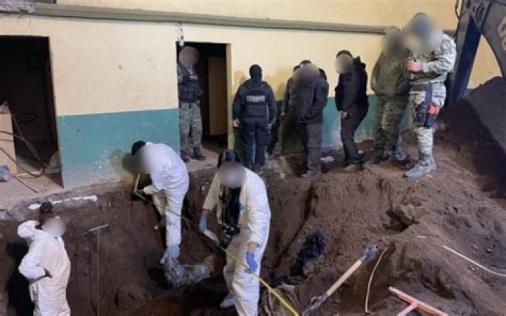 Untold Story of Narcofosa Impact on Society and Environment