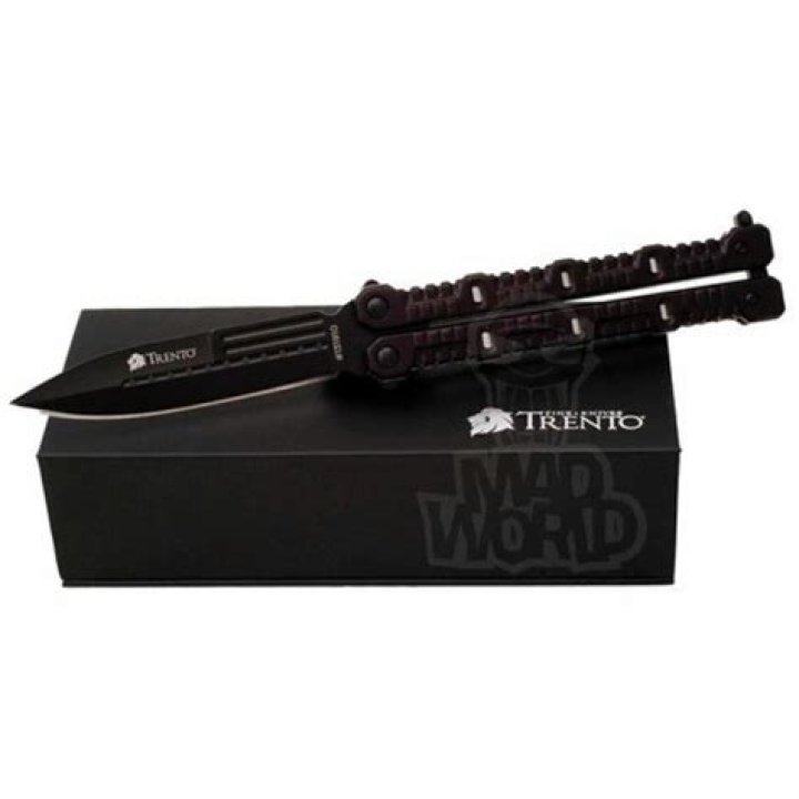 Discovering the Enigmatic Navaja Butterfly