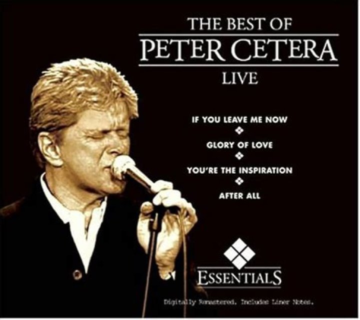 Peter Cetera's Financial Success: A Look into His Net Worth