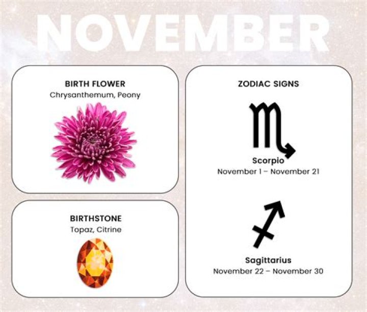 Unveiling the Mysteries of the November 11 Birth Sign: A Comprehensive Guide