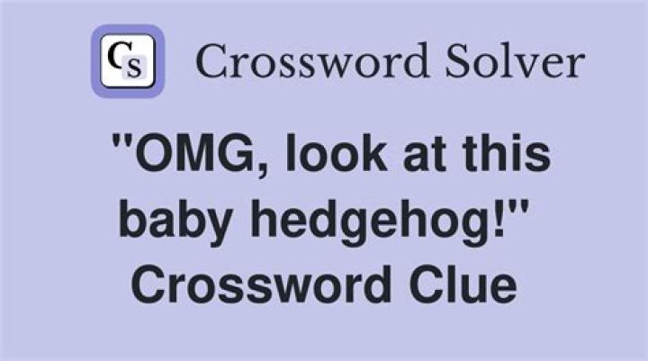 OMG Look at This Baby Hedgehog: The Adorable World of Hedgehog Babies