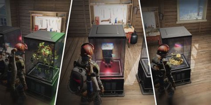 Mastering the Art of Flower Decoration: Once Human How to Place Flower Decoration