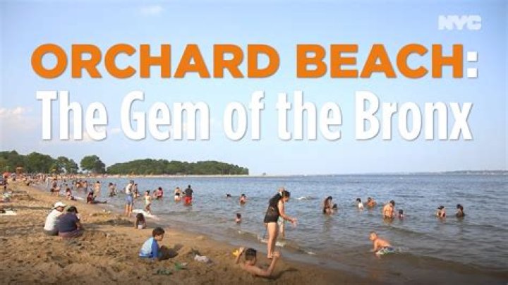 Discover the Hidden Gem of Orchard Beach, NY