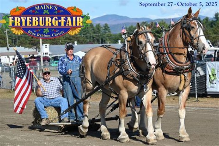 Discover P and E Supply: Your Expert Resource for Electrical and Power Equipment