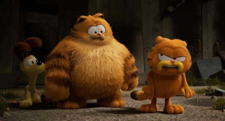 Lessons from the Characters of Garfield