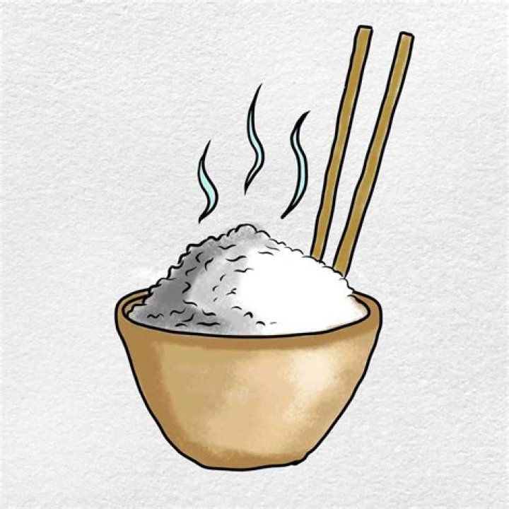 Mastering the Art of Drawing: A Picture of Rice Made Easy