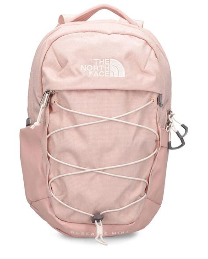 Discovering the Charm of the Pink North Face Backpack