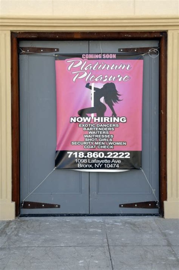 Exquisite Experiences: Platinum Pleasures Explained