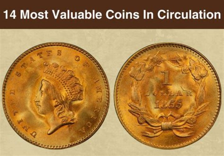 The Ultimate Guide to Proof Coins in Circulation: Value, Rarities, and More