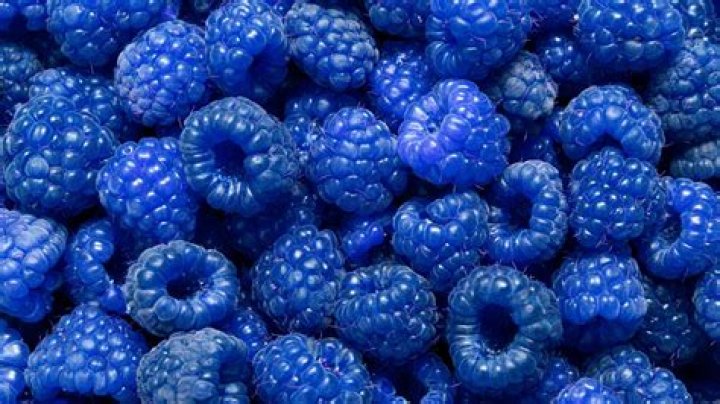 Discovering the Wonders of Real Blue Raspberry