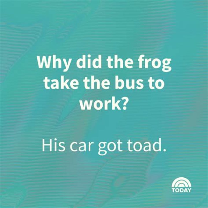 Really Funny Jokes: The Ultimate Collection to Make You Laugh