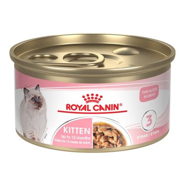 Recommended Canned Cat Food: A Comprehensive Guide for Your Feline Friend