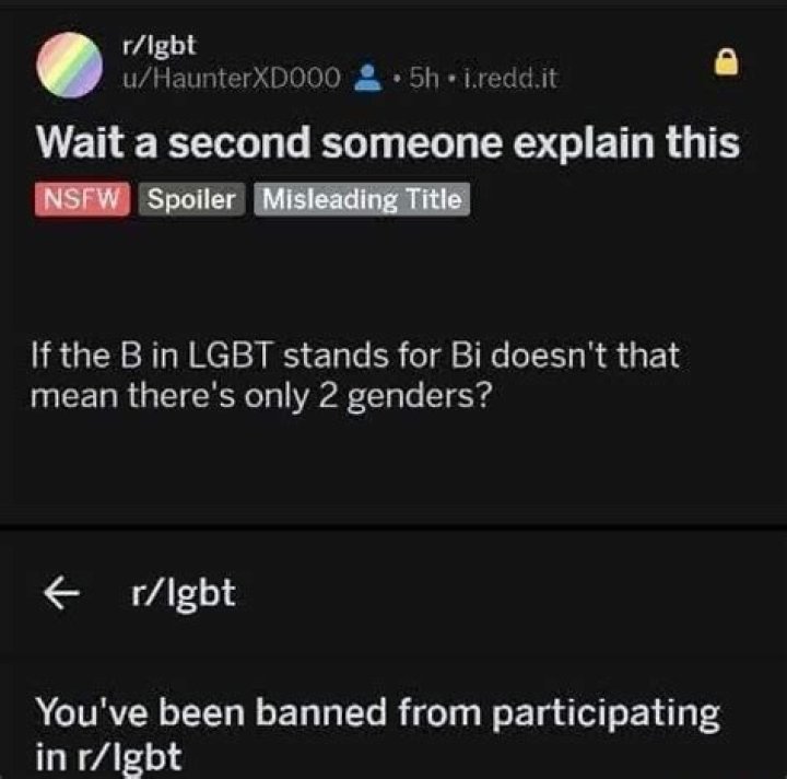 Exploring the Vibrant Community of Reddit LGBT