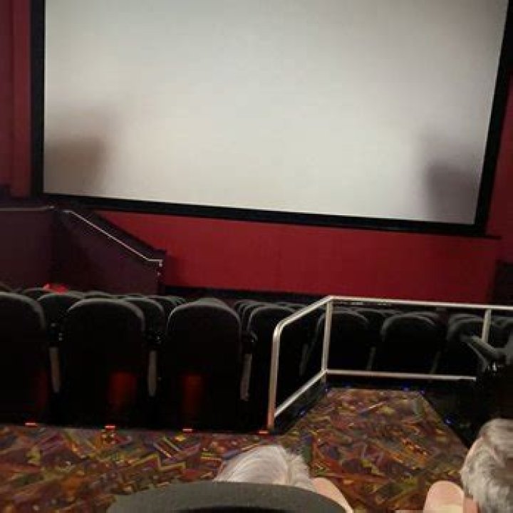 Exploring the Majesty of the Regal Gulf Coast