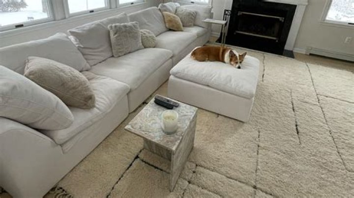 Discovering the Allure of the Restoration Hardware Cloud Couch