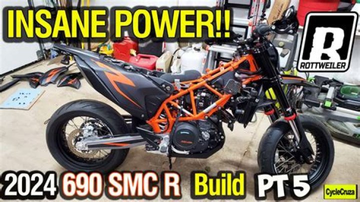 Mastering Rottweiler Performance: A Guide to Excellence