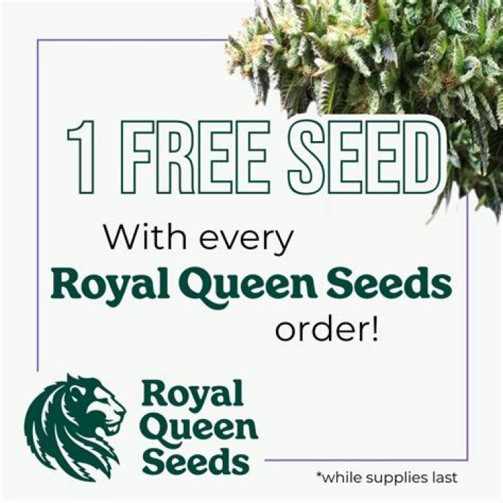 Royal Queen Seeds: Premium Quality, Diverse Genetics