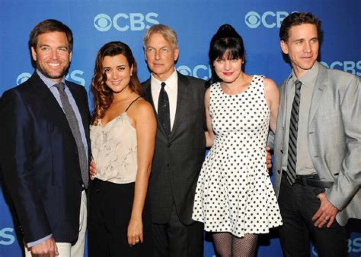 Exploring the Season 15 Cast of NCIS: A Deep Dive into Characters and Performances