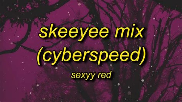 Exploring the Meaning Behind Sexy Red's Skee Lyrics: A Deep Dive