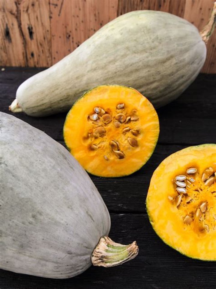 The Fascinating World of Sibley: Exploring Its Rich Heritage and Significance