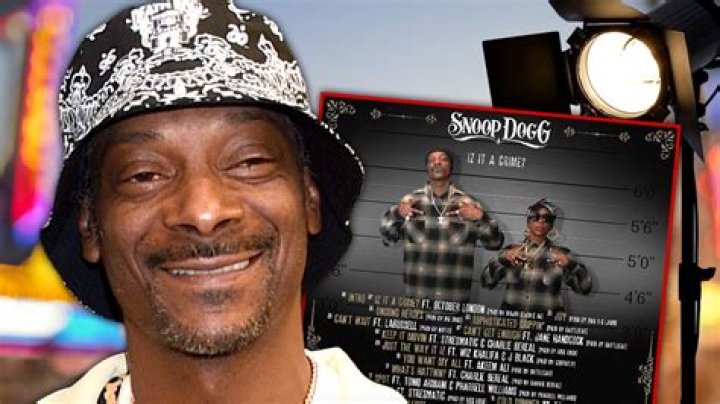 Snoop Dogg's Intriguing Legal Journey: A Detailed Examination of His Criminal Record