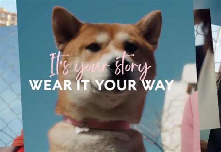 The Mystery Behind the Song on the Pandora Commercial