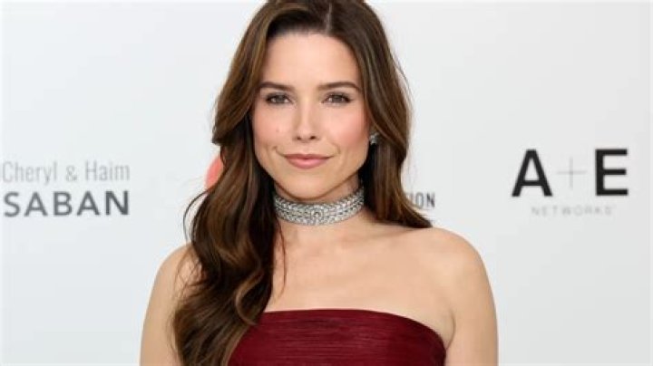 Unveiling the Financial Journey: Sophia Bush Net Worth