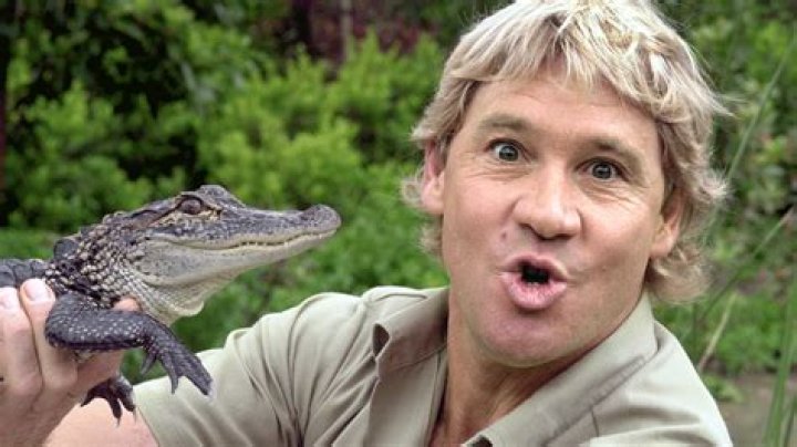 Steve Irwin's Legacy: Conservation & Animal Education