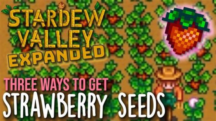 Unlocking the Secrets of Strawberry Seeds in Stardew Valley