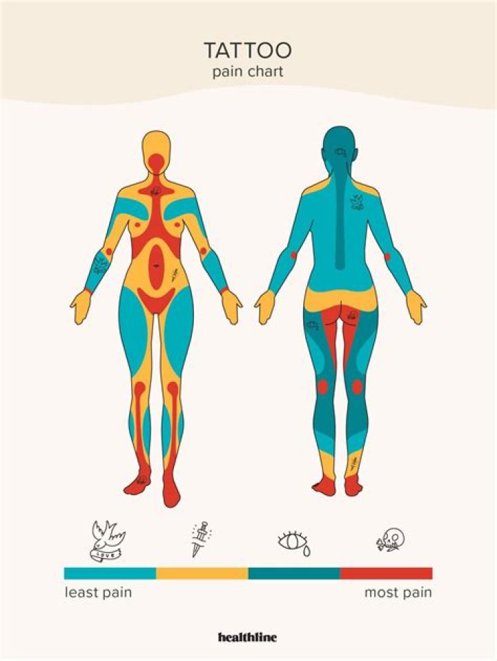 Tattoo Pain Chart for Women: Understanding the Levels of Discomfort