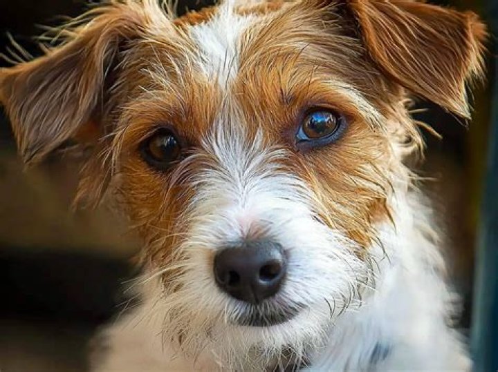 Meet Taylor Russell's Cousin: The Unsung Talent in the Family