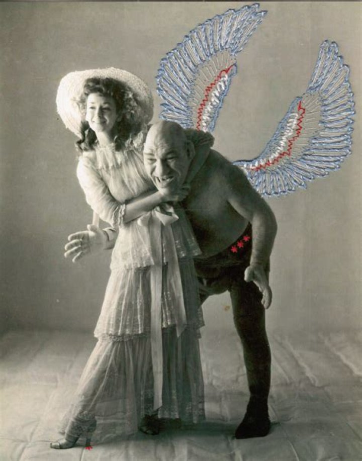 The French Angel: A Comprehensive Guide to This Unique Species