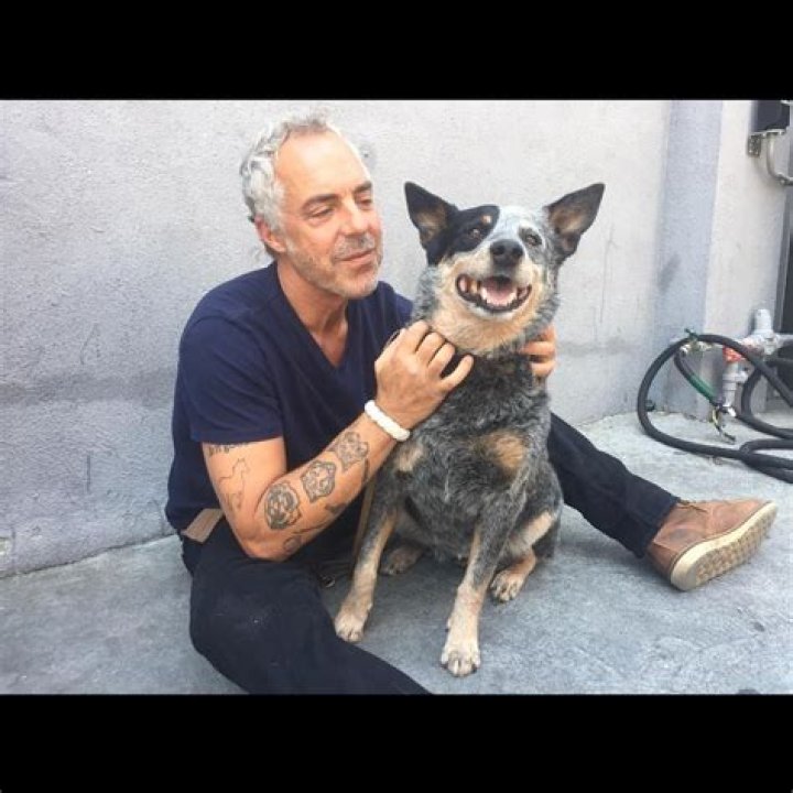 Unveiling the Truth: Are Titus Welliver's Tattoos Real or Just for Show?