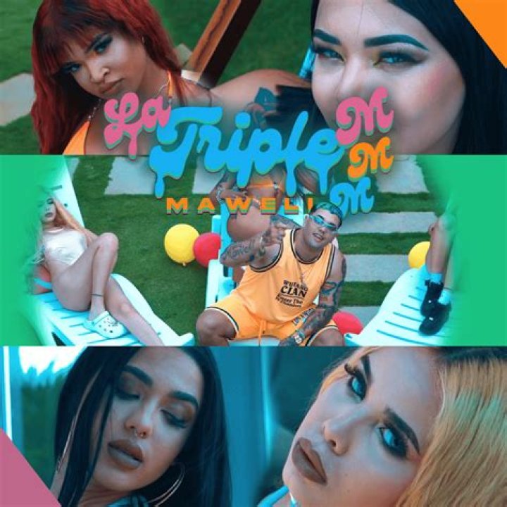 Exploring the Vibrant World of 