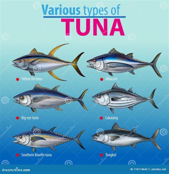 Ultimate Guide to the Tuna Chart: Your Go-To Resource
