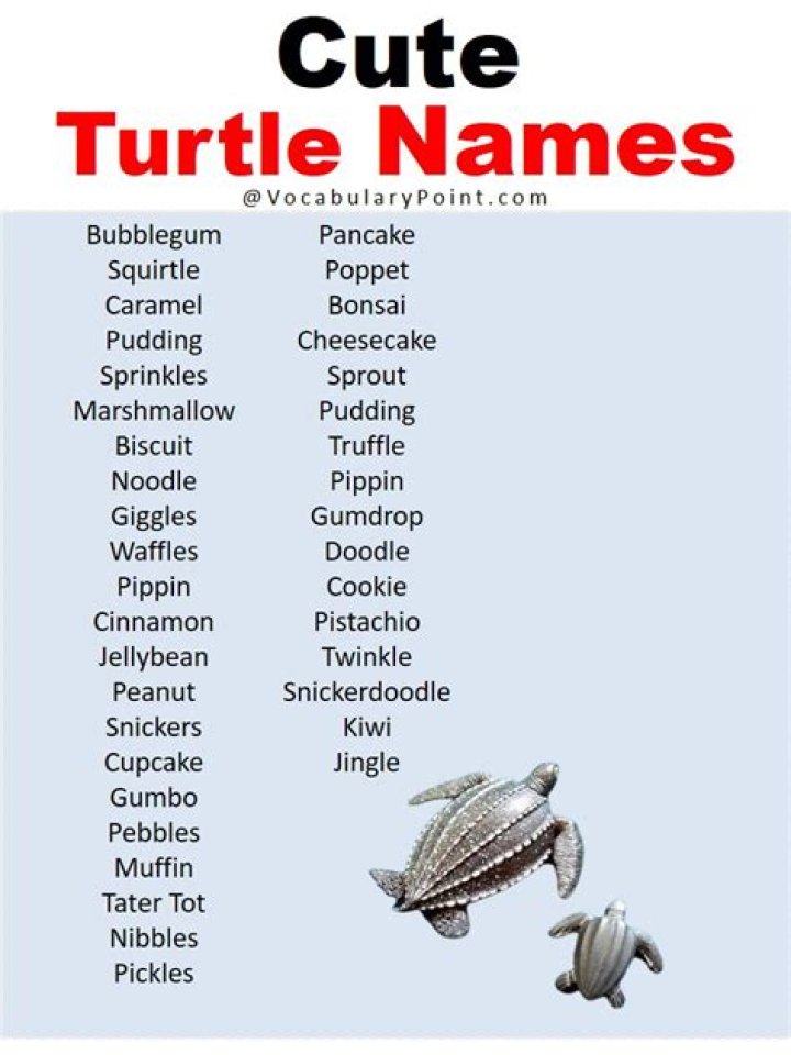 Discovering Unique Turtle Names: A Comprehensive Guide