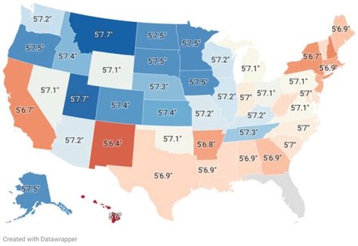 The Ultimate Guide to the Tallest Hammes in US States