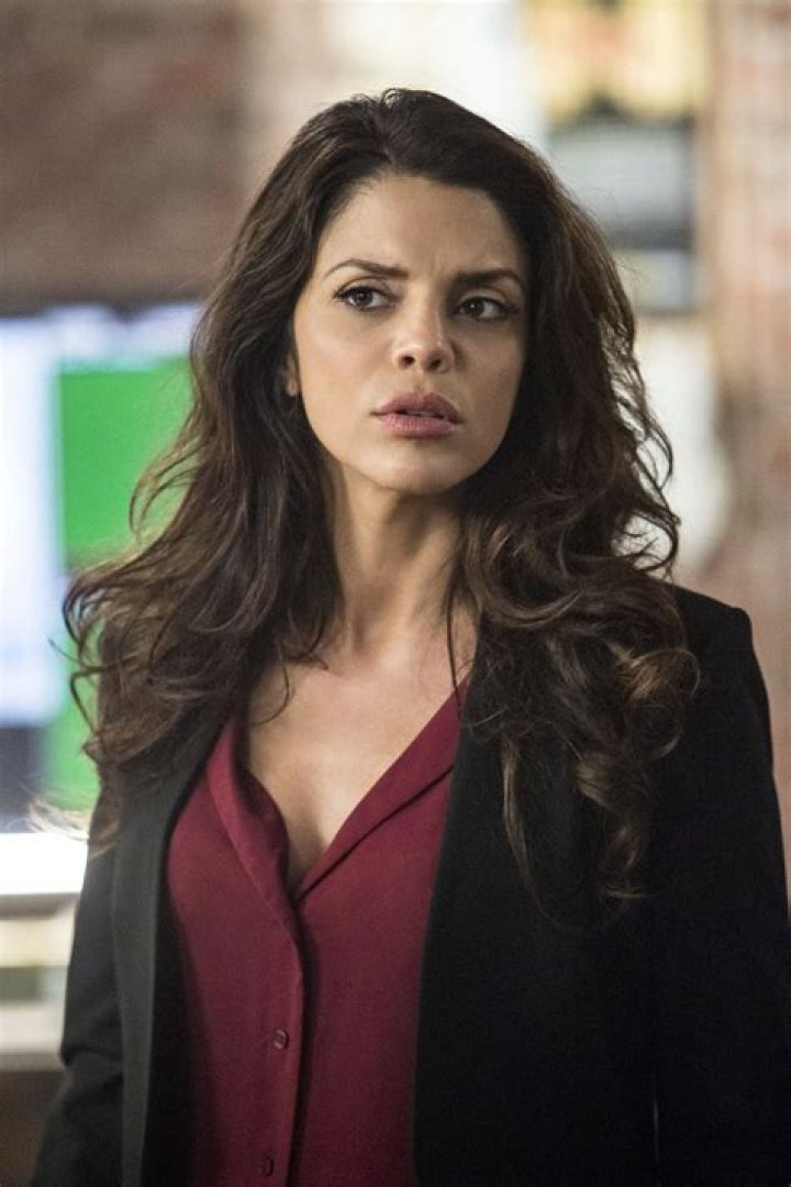 Vanessa Ferlito Movies and TV Shows: A Comprehensive Guide