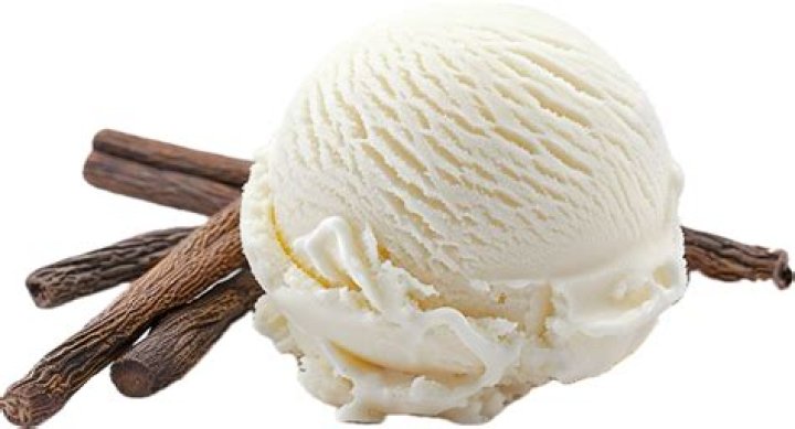 Unveiling Vanilla Ice's Net Worth: A Fortune Built on Music and Entertainment