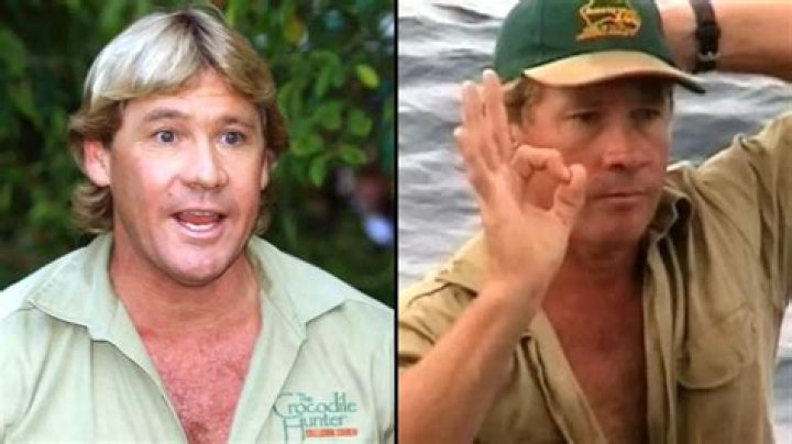 Steve Irwin: A Wildlife Conservation Icon in Action