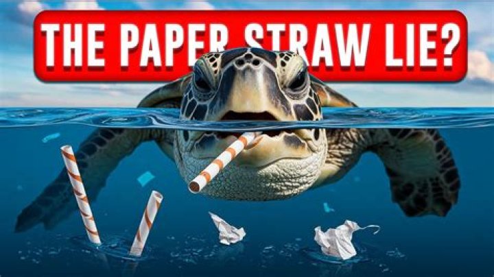 Visco Girls and Their Passion for Paper Straws: A Movement to Save the Turtles