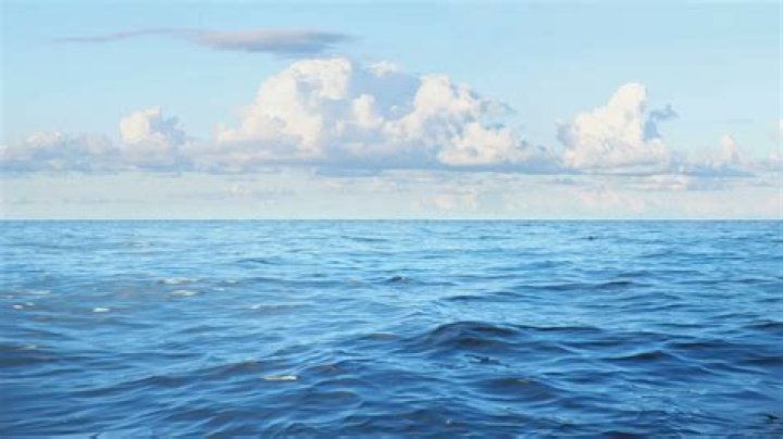 Transform Your Screen: How to Use Wallpaper Engine to Put Landscape Wallpaper on Portrait