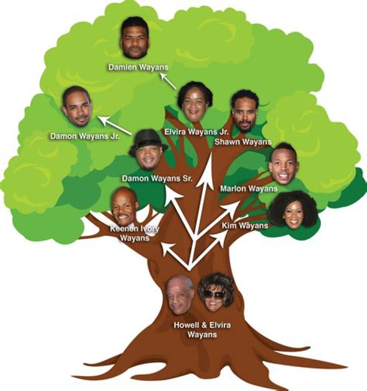 The Remarkable Wayans Family Tree: Unraveling a Legacy of Comedy and Entertainment