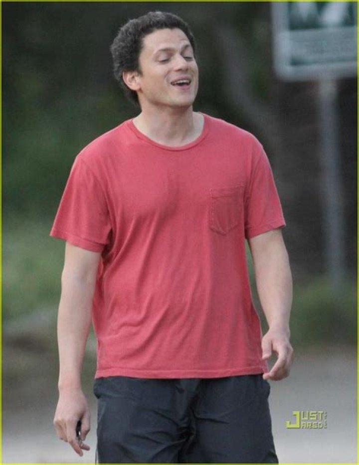 Wentworth Miller's Son: A Deep Dive into Family Life and Legacy