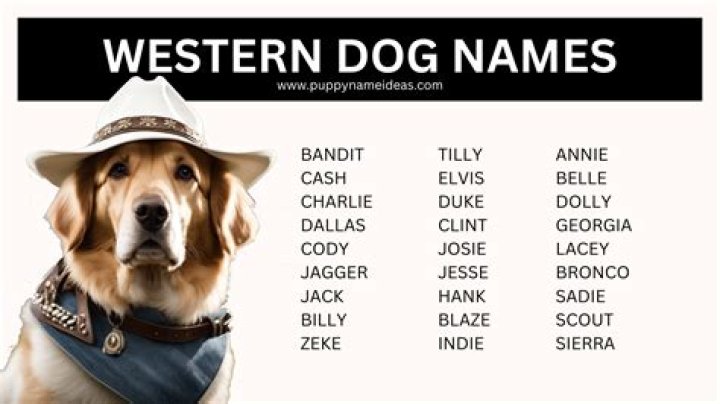 Discovering the Charm of Western Dog Names