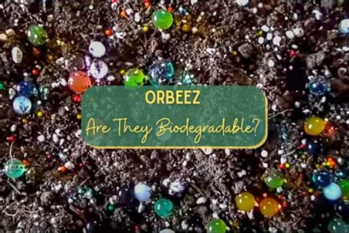 Exploring the Fascinating Composition of Orbeez