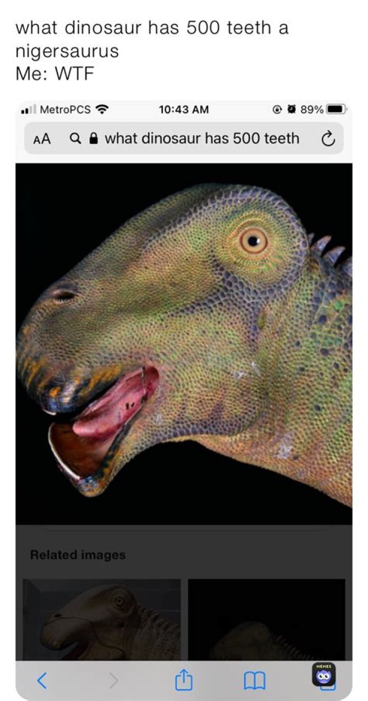 What Dinosaur Has 500 Teeth Meme: Understanding the Viral Phenomenon