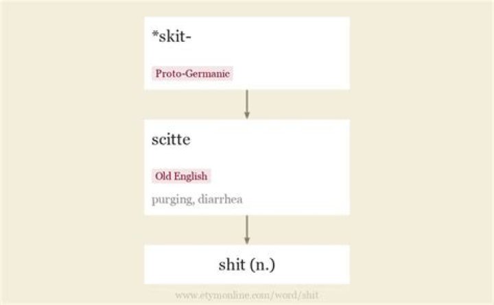 Understanding the Phrase: What Does Type Shit Mean?