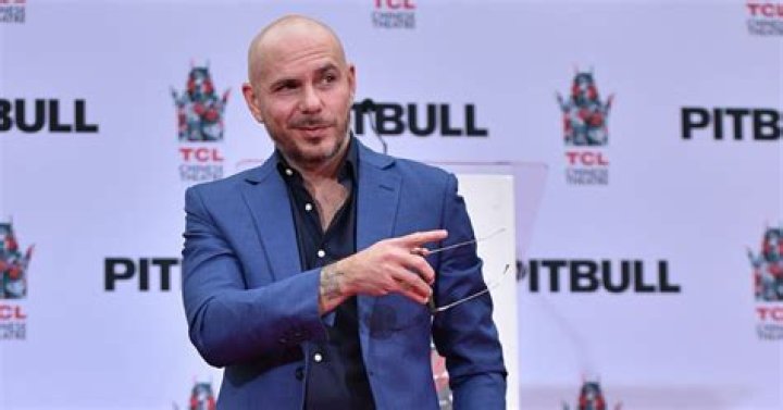 What Is Pitbull's Net Worth? The Rise of the Global Superstar